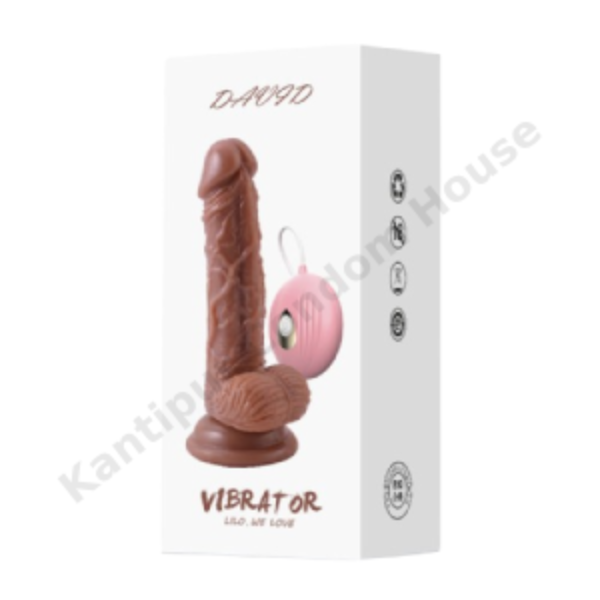 7" David Vibrating Dildo -(LL-B2136)